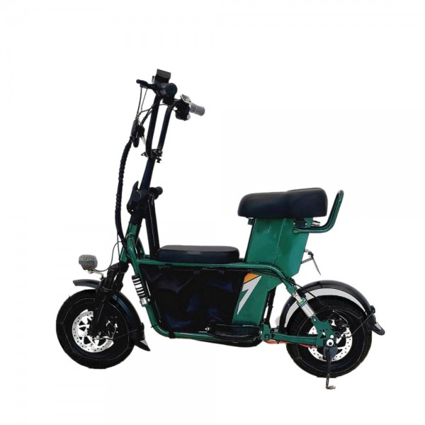 MYTS Electric Bike With Carry Bag Green