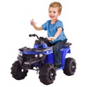 Mini 6v Quad Bike For Young Off Roaders Blue