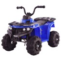 Mini 6v Quad Bike For Young Off Roaders Blue