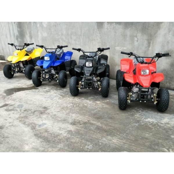 MYTS ATV Quad bike 80 CC High Quality Fully automatic