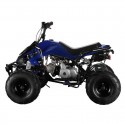 Myts  125cc Quad ATV Bike With Reverse For Kids - Blue