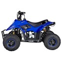 Off Road 90cc Quad Bike - Blue